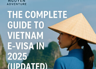 Vietnam E-Visa Guide 2025: Application, Fees & Urgent Options