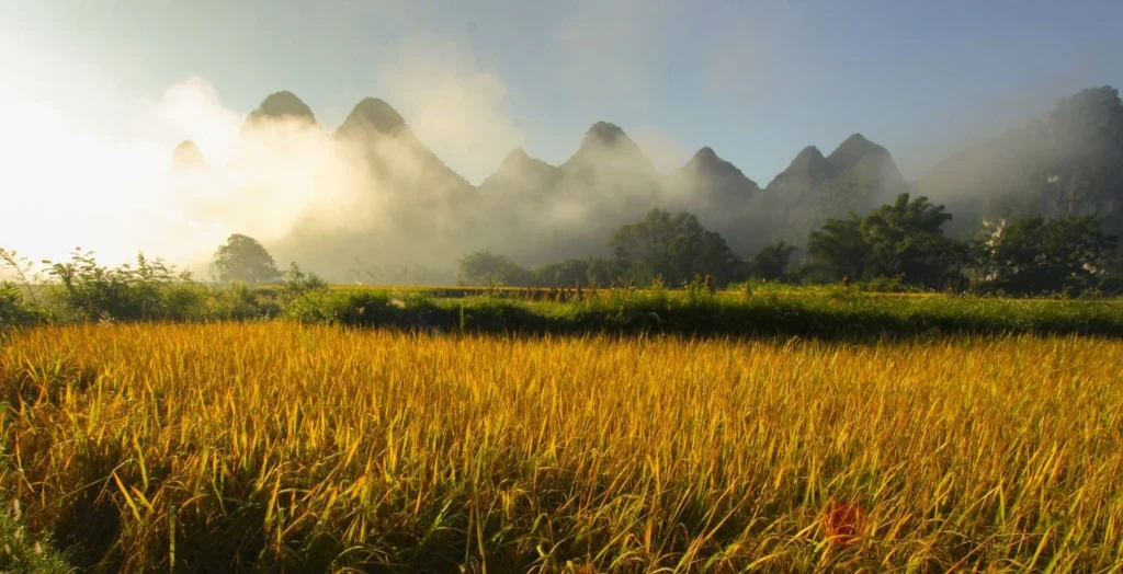 ma phuc pass cao bang attraction migo 5 lmp0tiih